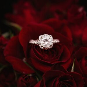 Aurora trilogy ring